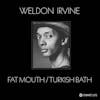 Album artwork for Fat Mouth / Turkish Bath by Weldon Irvine