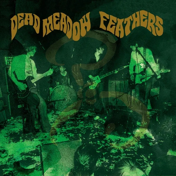 Album artwork for Feathers by Dead Meadow