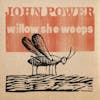 Album artwork for Willow She Weeps by John Power