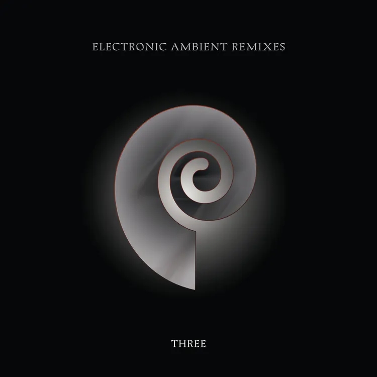 Album artwork for Electronic Ambient Remixes, Vol. 3 by Chris Carter