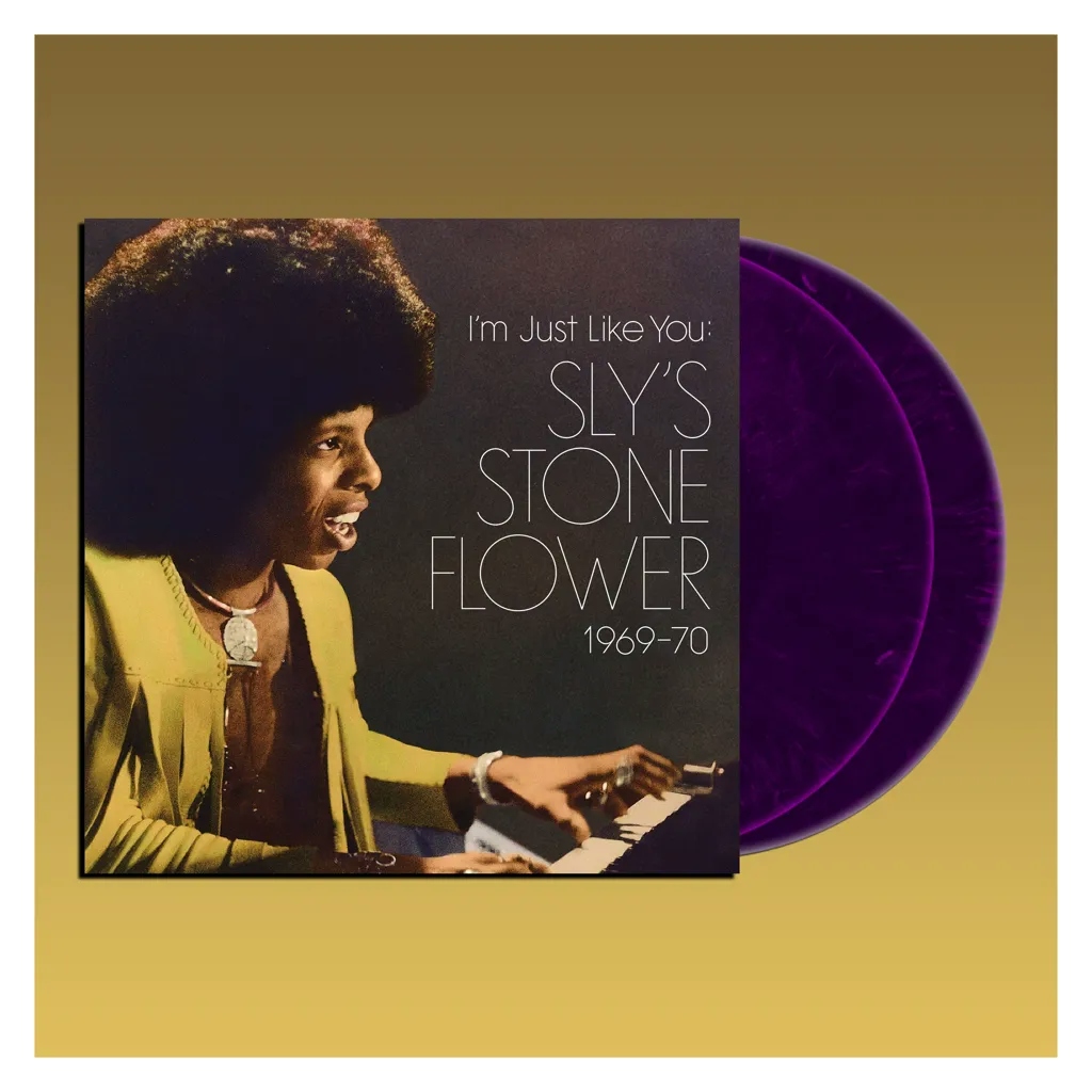 Album artwork for Album artwork for I'm Just Like You - Sly's Stone Flower 1969 - 70 by Sly Stone by I'm Just Like You - Sly's Stone Flower 1969 - 70 - Sly Stone