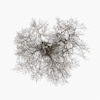 Album artwork for Tree by John Metcalfe