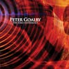 Album artwork for The Solo Anthology by Peter Goalby