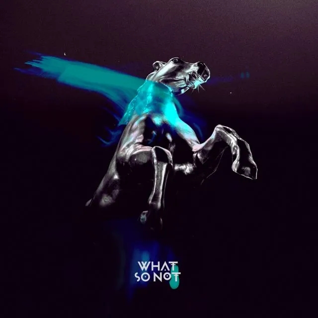 Album artwork for Not All The Beautiful Things by What So Not