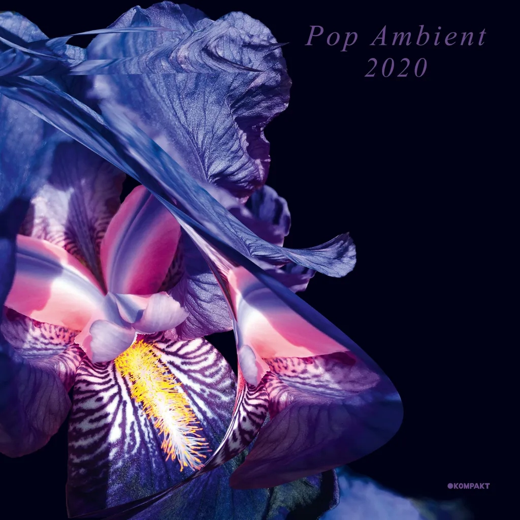 Album artwork for Pop Ambient 2020 by Various