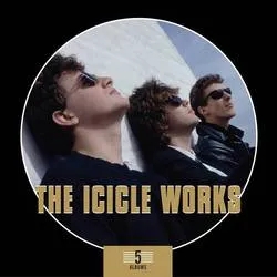 Album artwork for 5 Album Box Set by The Icicle Works