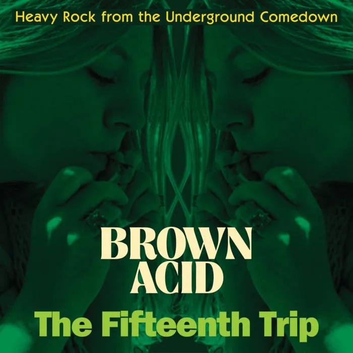 Album artwork for Brown Acid: The Fifteenth Trip by Various
