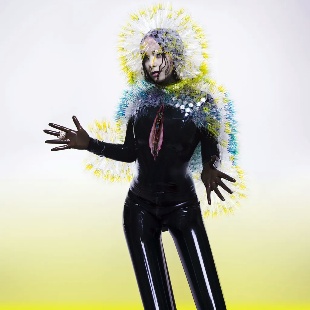 Album artwork for Vulnicura by Björk