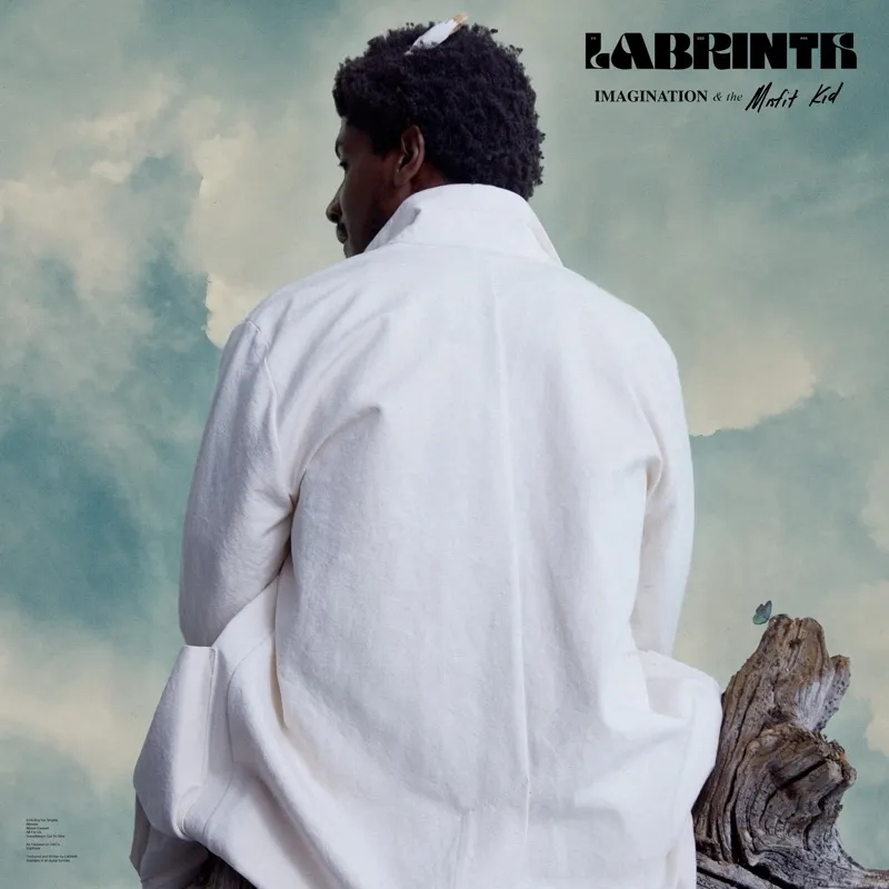 Album artwork for Imagination and the Misfit Kid by Labrinth