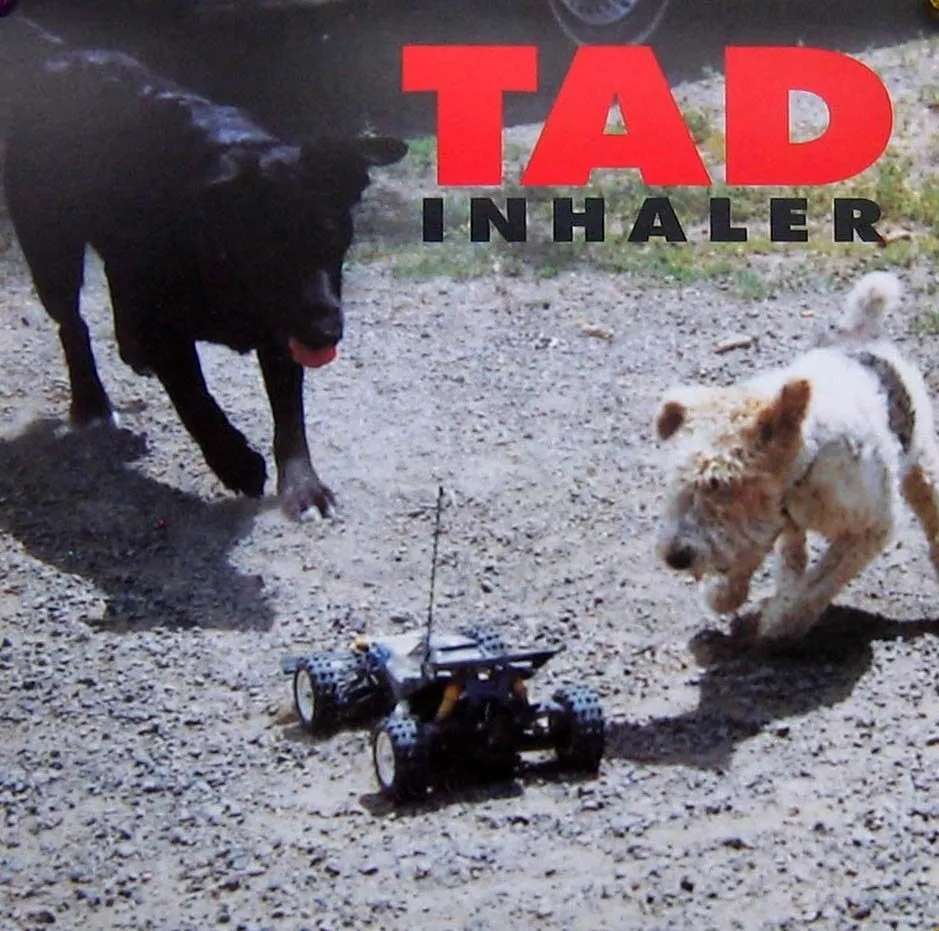 Album artwork for Inhaler by Tad