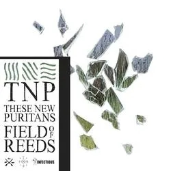 Album artwork for Field of Reeds by These New Puritans