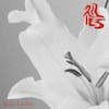 Album artwork for Lilies by Echo Ladies