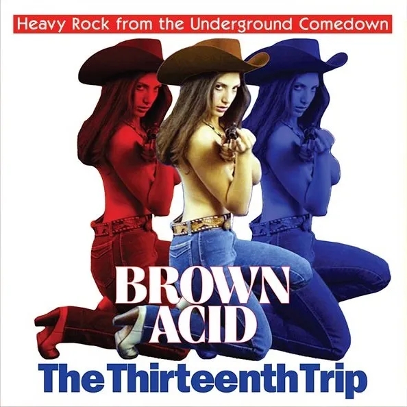 Album artwork for Brown Acid: The Thirteenth Trip by Various