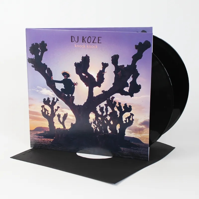 Album artwork for Knock Knock by DJ Koze