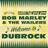 Album artwork for Welcome to Dubrock by Bob Marley