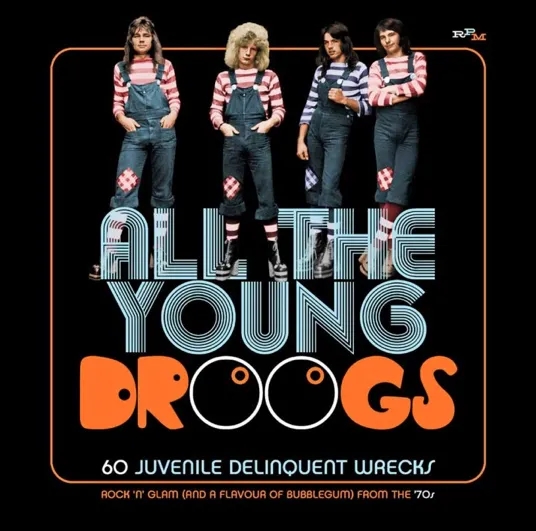 Album artwork for All the Young Droogs - 60 Juvenile Delinquent Wrecks - Rock 'n' Glam (And a Flavour of Bubblegum) From the 70s by Various