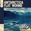 Album artwork for Antarctica by Flat Worms