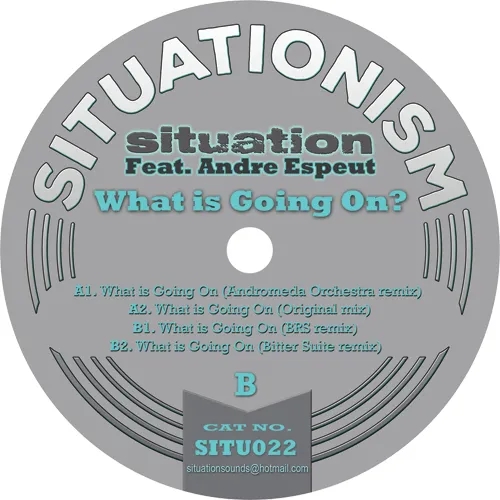Album artwork for What Is Going On? by Situation feat Andre Espeut