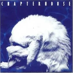 Album artwork for Whirlpool by Chapterhouse