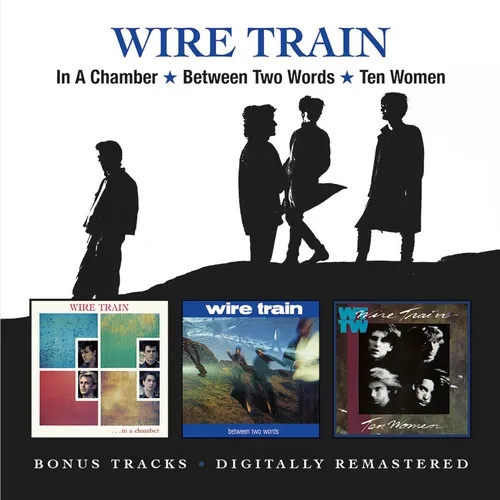 Album artwork for In A Chamber / Between Two Words / Ten Women by Wire Train