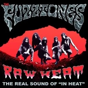 Album artwork for Raw Heat by The Fuzztones