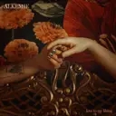 Album artwork for Love To My Liking by Alkemie