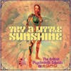 Album artwork for Try A Little Sunshine - The British Psychedelic Sounds of 1969 by Various