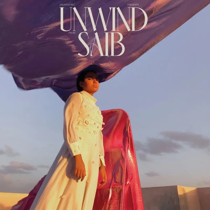 Album artwork for Unwind by Saib