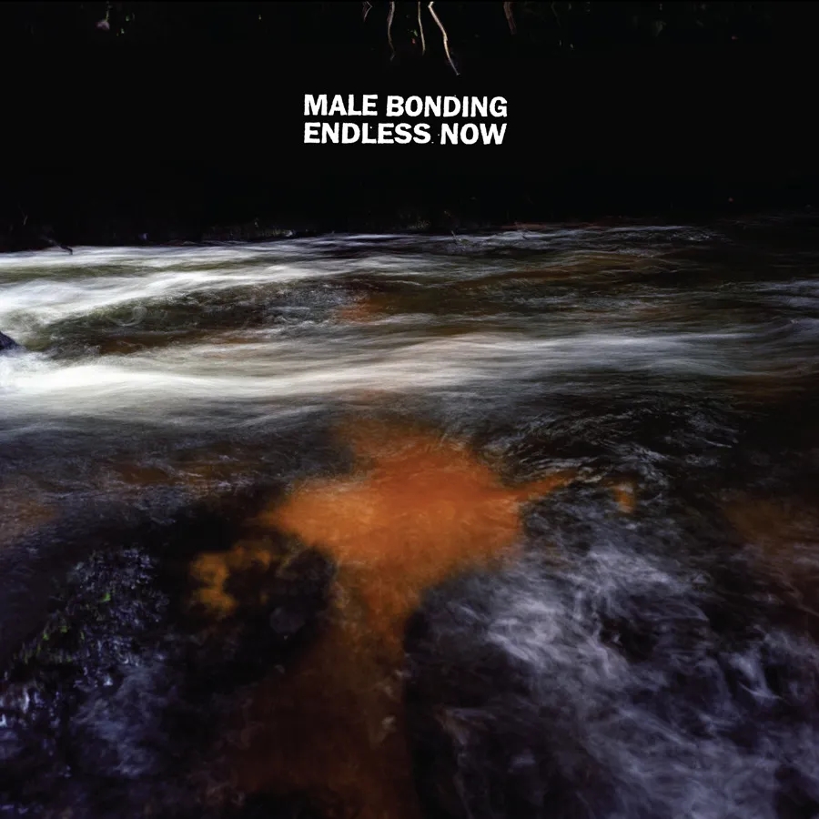 Album artwork for Endless Now by Male Bonding