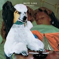 Album artwork for Deep Fantasy by White Lung