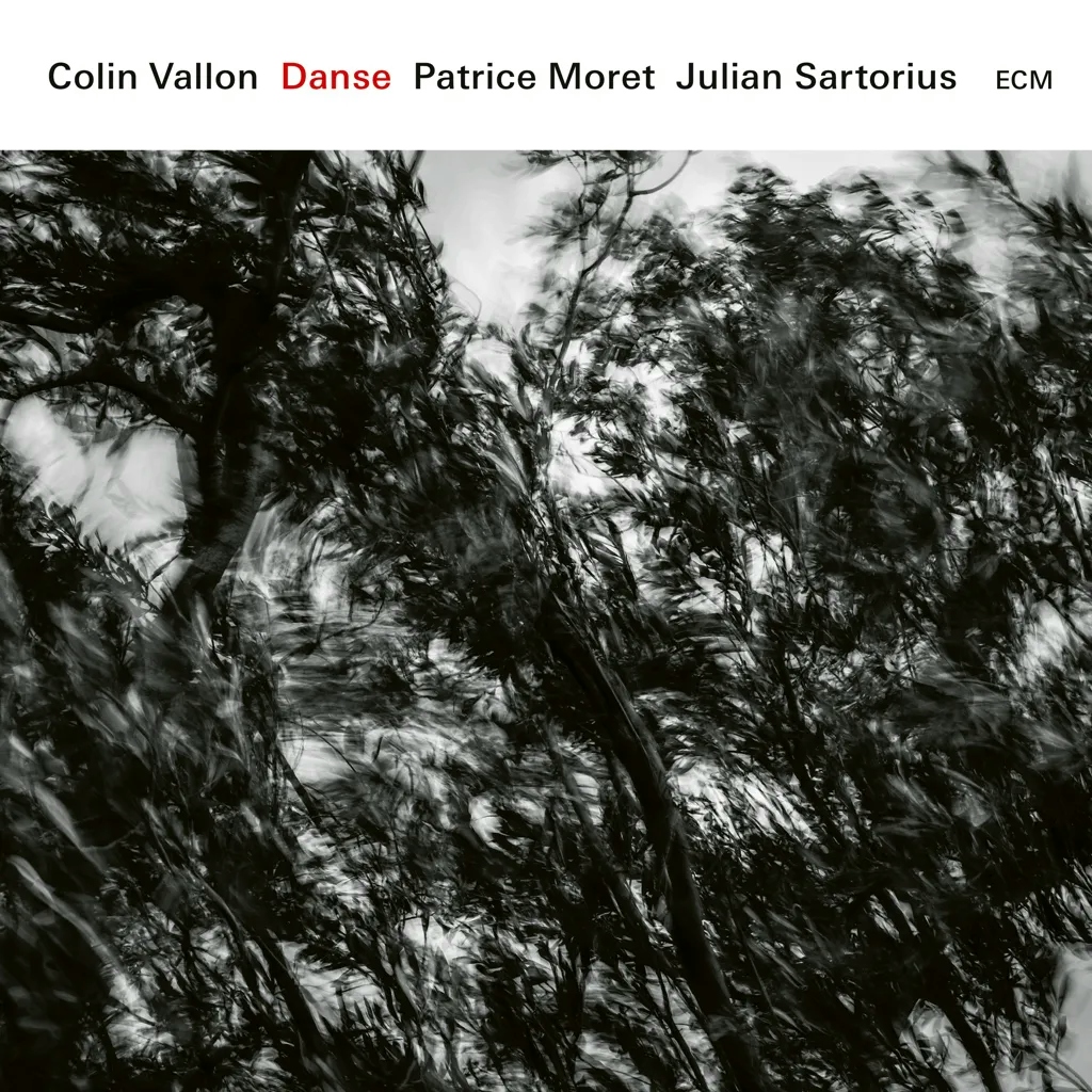Album artwork for Danse by Colin Vallon Trio