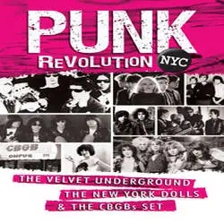 Album artwork for Punk Revolution NYC: The Velvet Underground, The New York Dolls & The CBGB Set by Various Artists