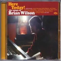 Album artwork for Here Today! The Songs Of Brian Wilson by V/A