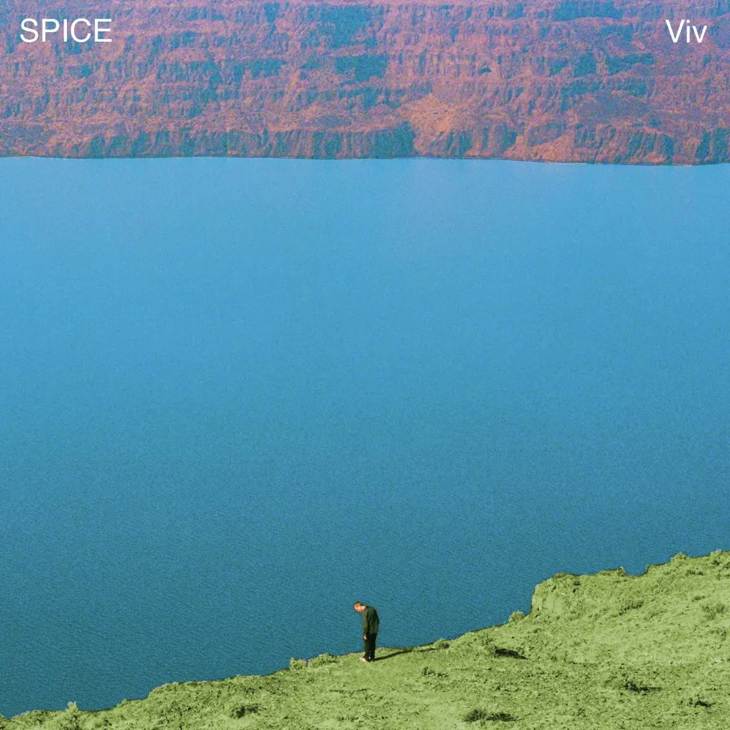 Album artwork for Viv by Spice
