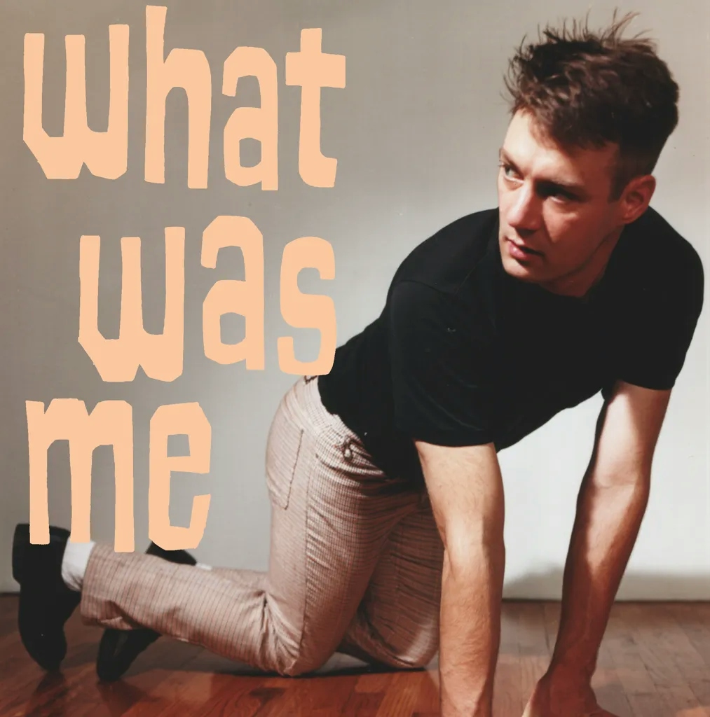Album artwork for What Was Me by Calvin Johnson 