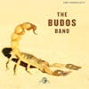 Album artwork for The Budos Band II by The Budos Band