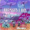Album artwork for Promised Land by The Allergies