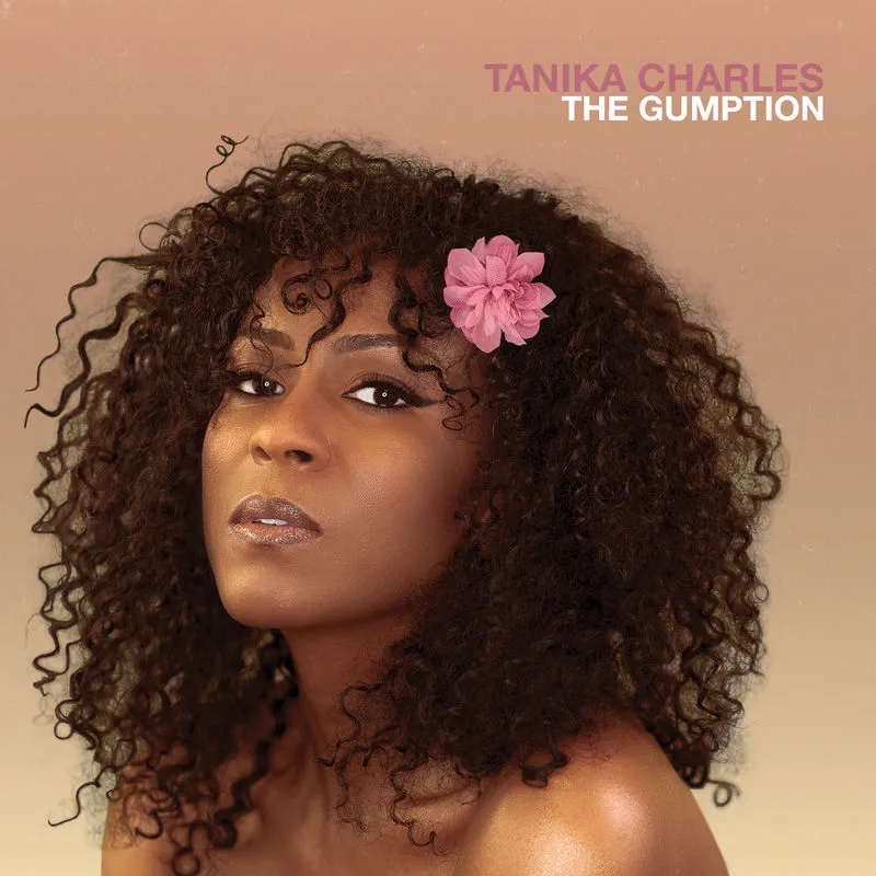 Album artwork for The Gumption by Tanika Charles