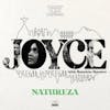 Album artwork for Natureza by Joyce and Mauricio Maestro