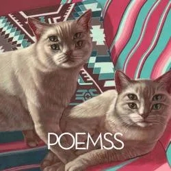 Album artwork for Poemss by Poemss