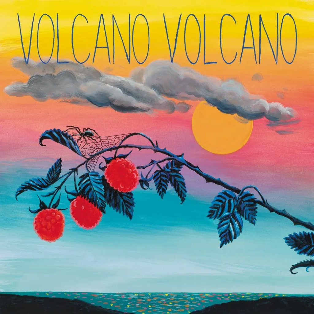 Album artwork for Volcano Volcano by Steven Lambke