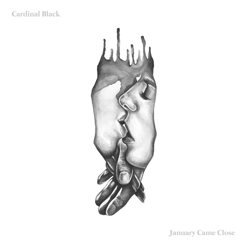 Album artwork for January Came Close by Cardinal Black