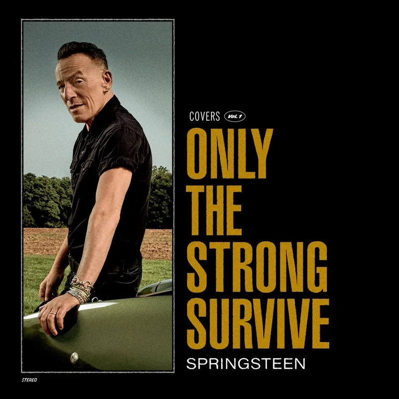 Album artwork for Only The Strong Survive by Bruce Springsteen