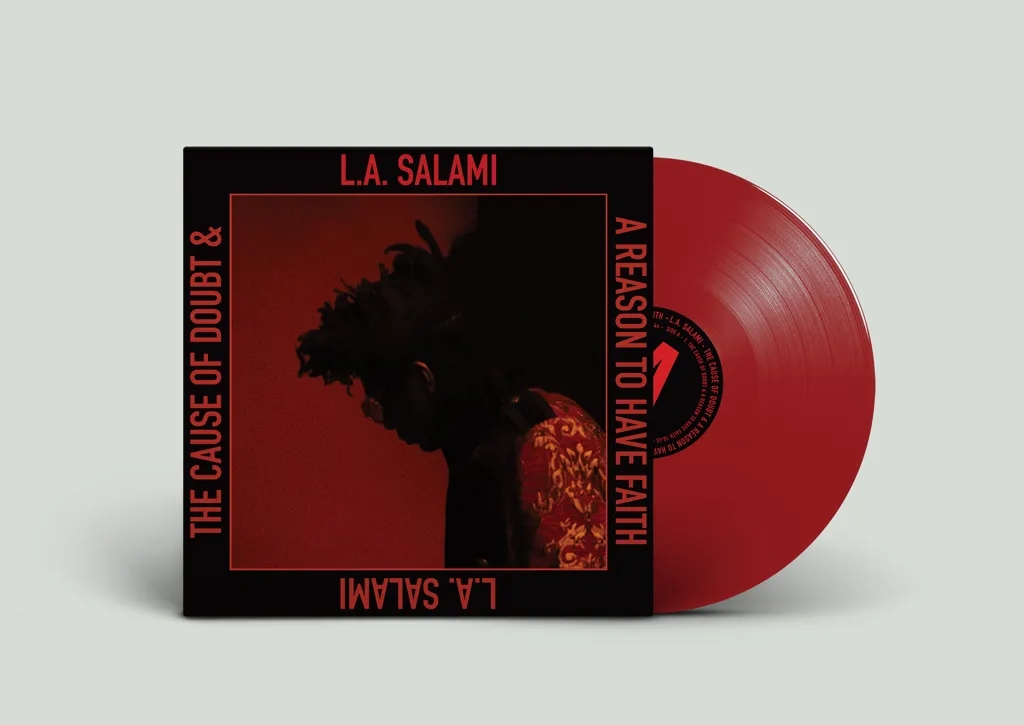 Album artwork for Album artwork for The Cause of Doubt and a Reason to Have Faith by LA Salami by The Cause of Doubt and a Reason to Have Faith - LA Salami