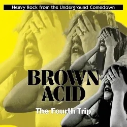 Album artwork for Brown Acid - The Fourth Trip by Various