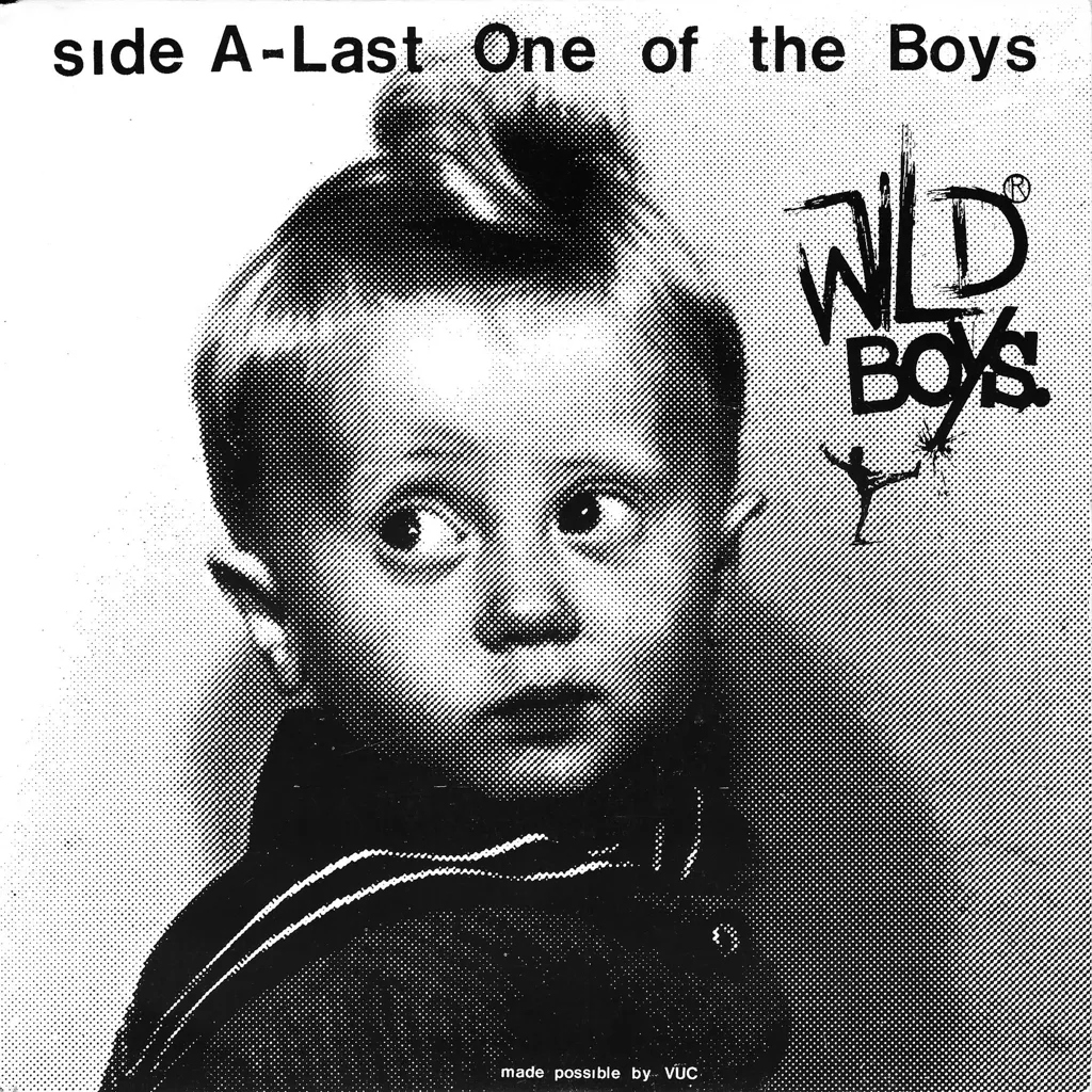 Album artwork for Last One Of The Boys b/w We're Only Monsters by Wild Boys