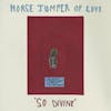 Album artwork for So Divine by Horse Jumper Of Love