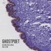 Album artwork for Shedding Skin by Ghostpoet