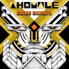 Album artwork for Ahomale by Combo Chimbita
