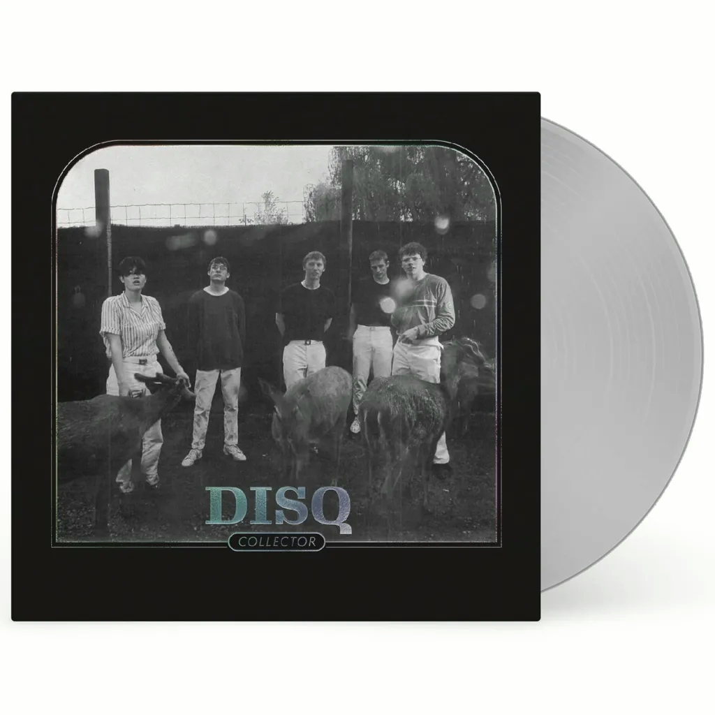 Album artwork for Collector by Disq